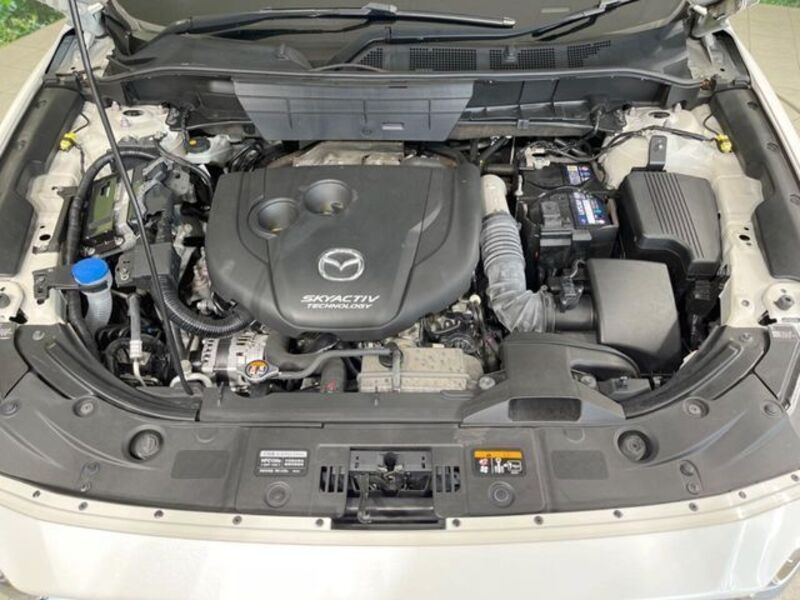 CX-8