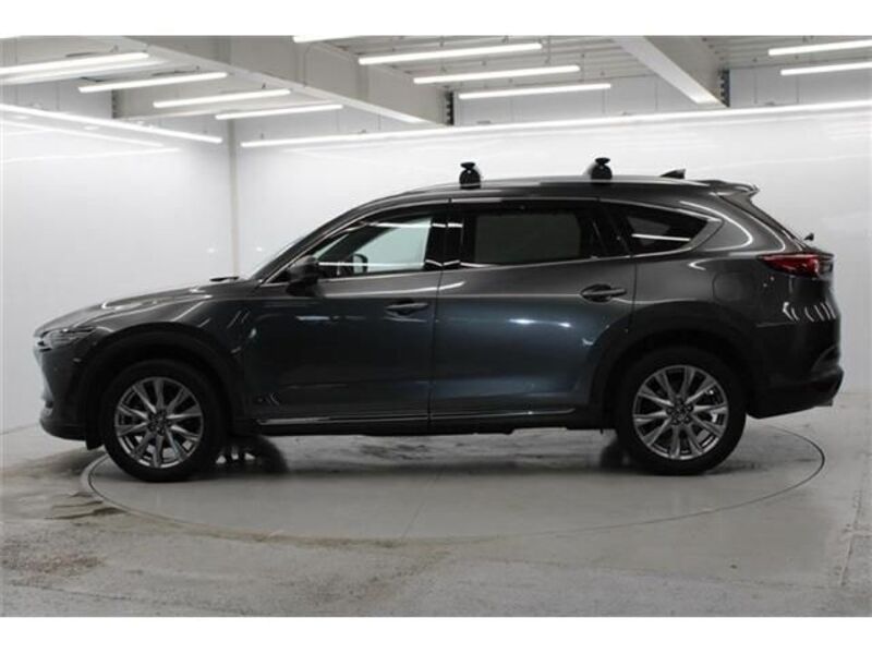 CX-8
