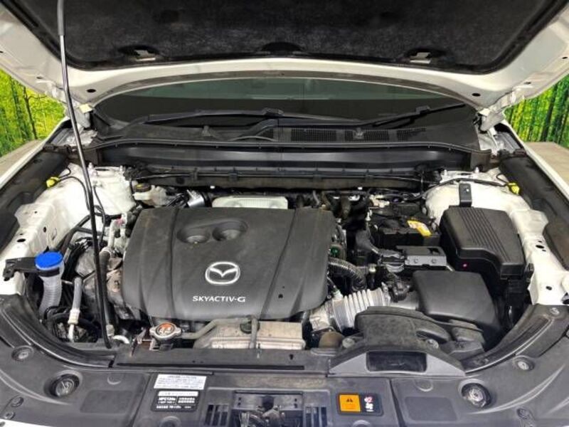 CX-8