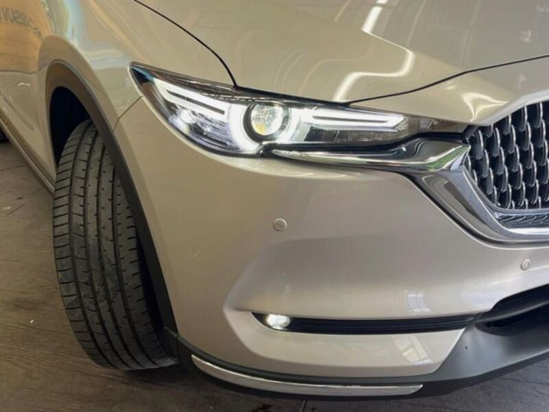 CX-8