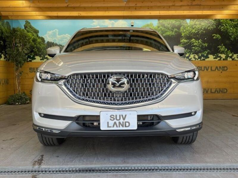 CX-8