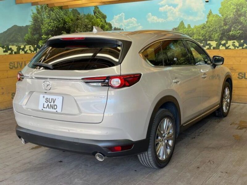 CX-8