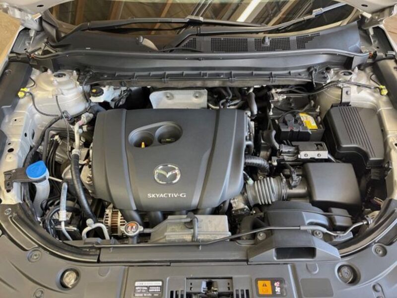 CX-8