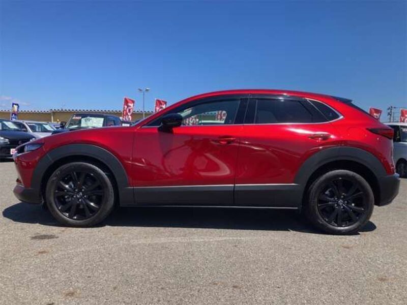 CX-30