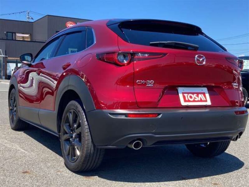 CX-30