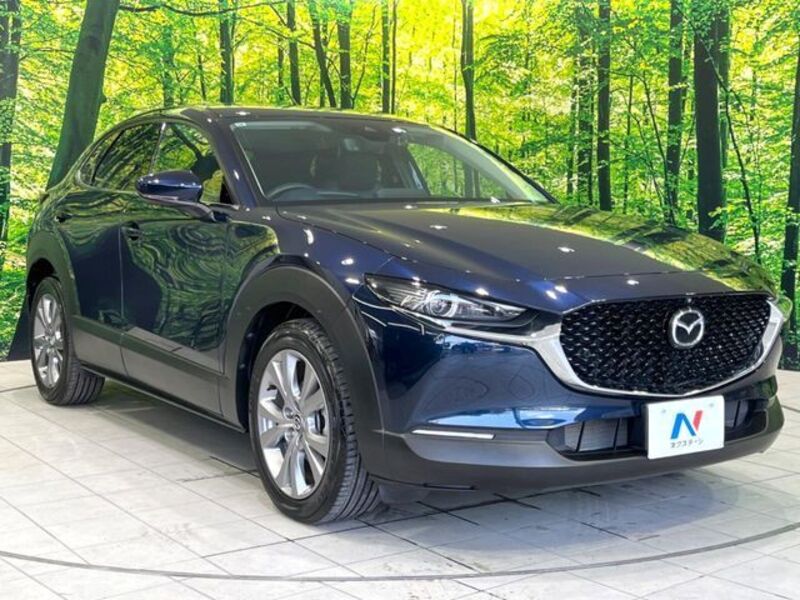 CX-30