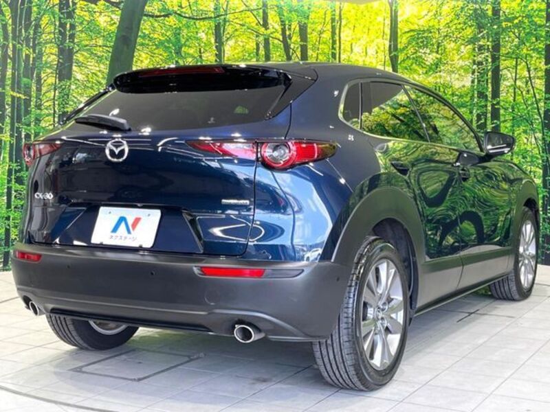 CX-30
