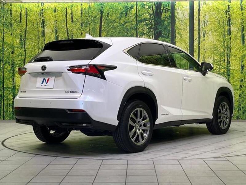 NX
