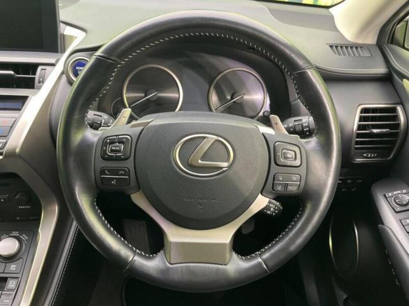 NX