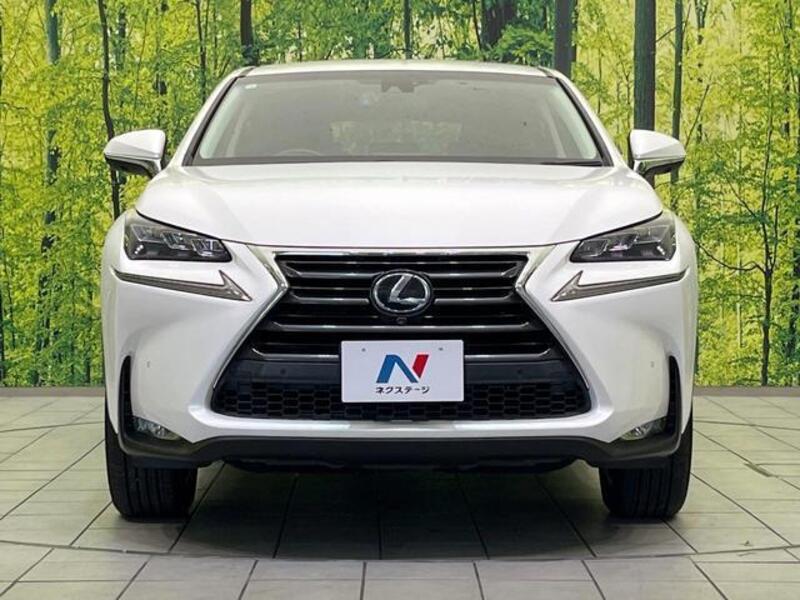 NX