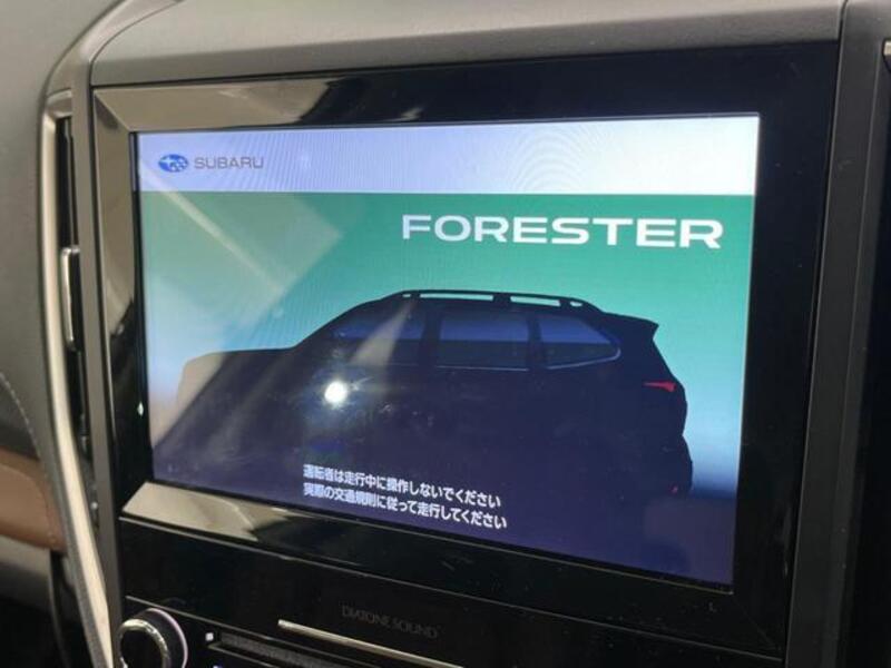 FORESTER