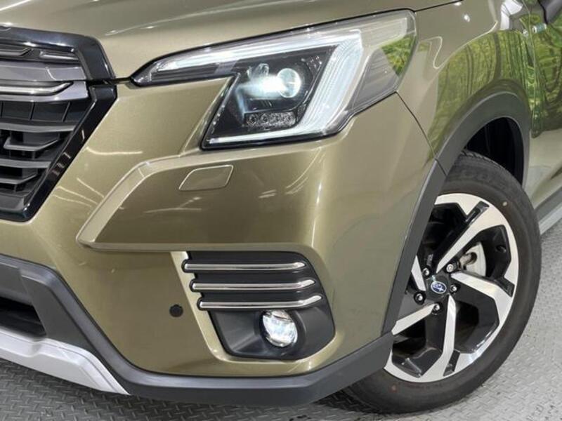 FORESTER