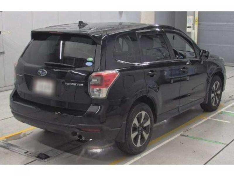 FORESTER