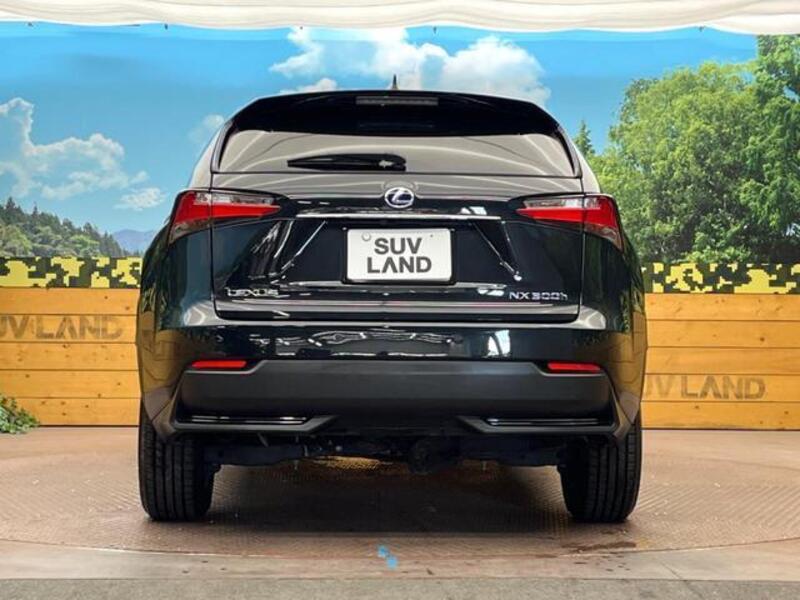 NX