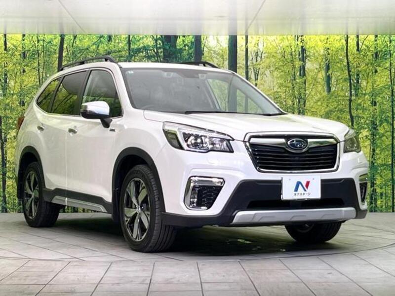FORESTER