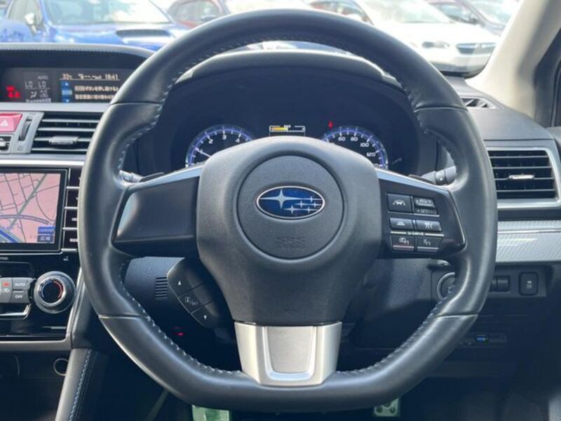 LEVORG