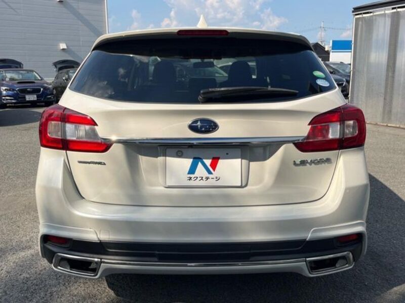LEVORG