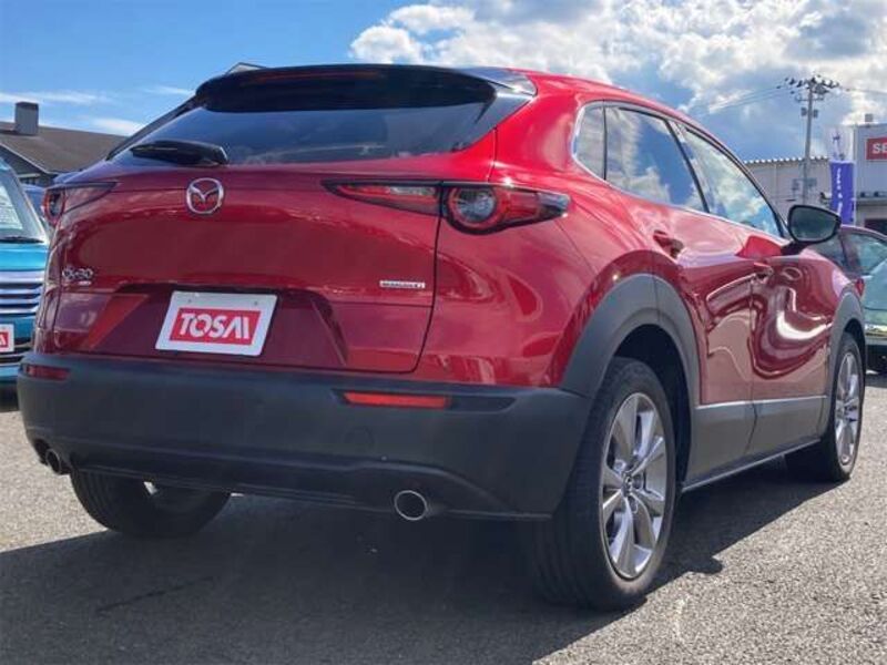 CX-30