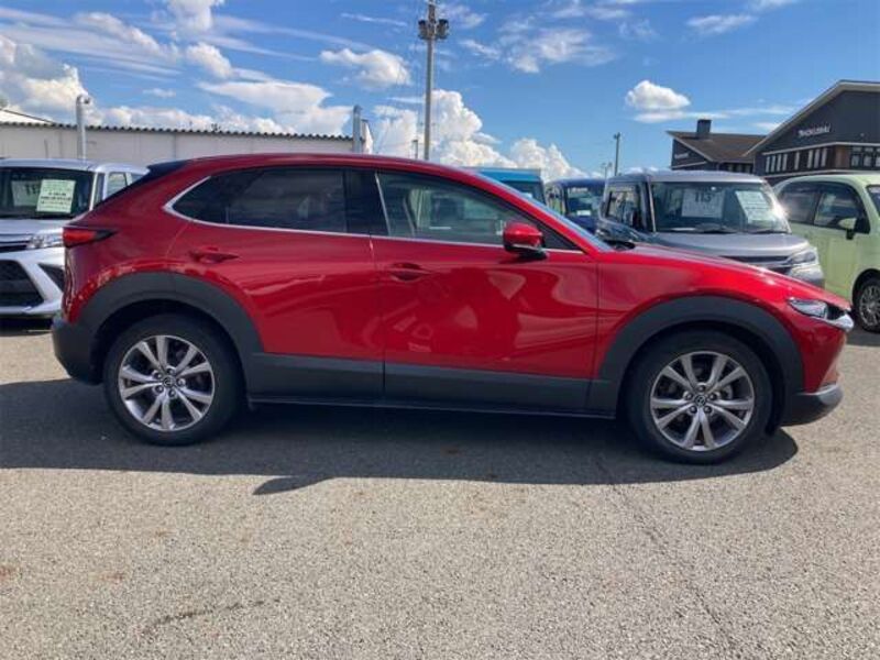 CX-30