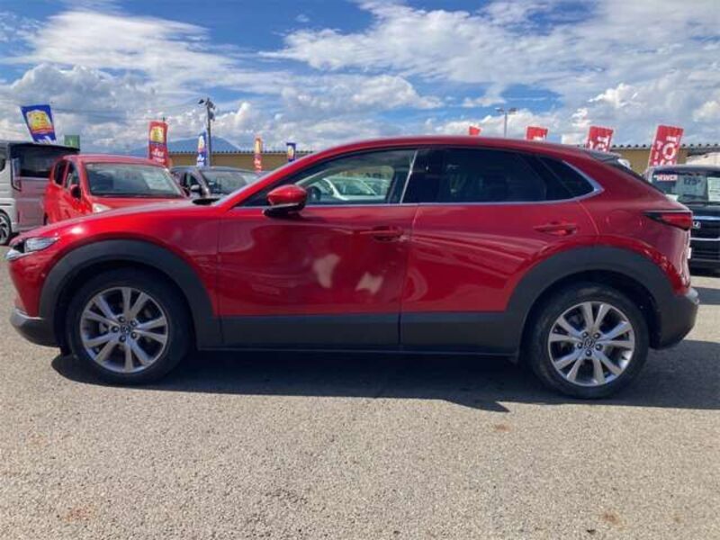 CX-30