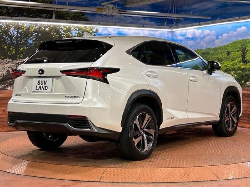 NX