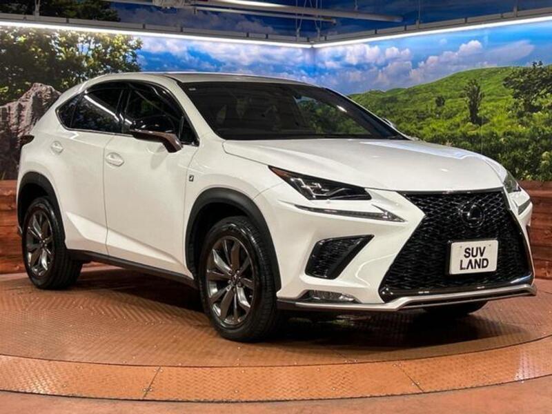 NX