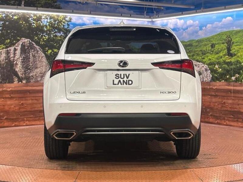 NX