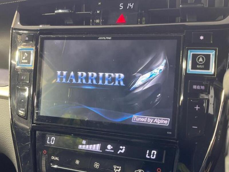 HARRIER