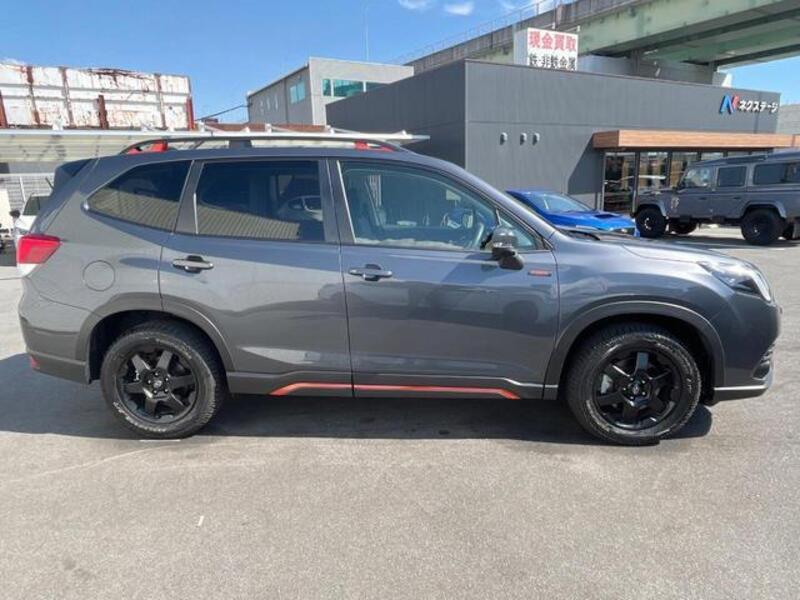 FORESTER