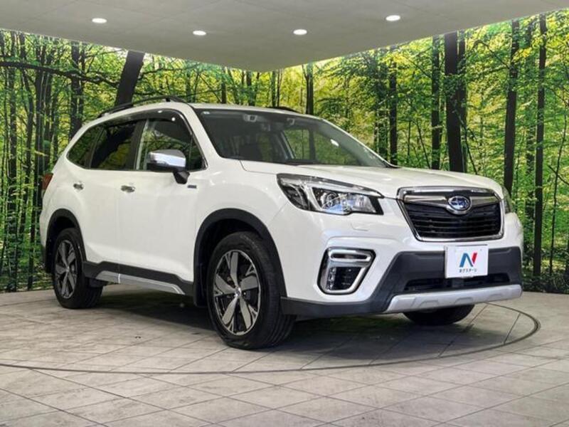 FORESTER