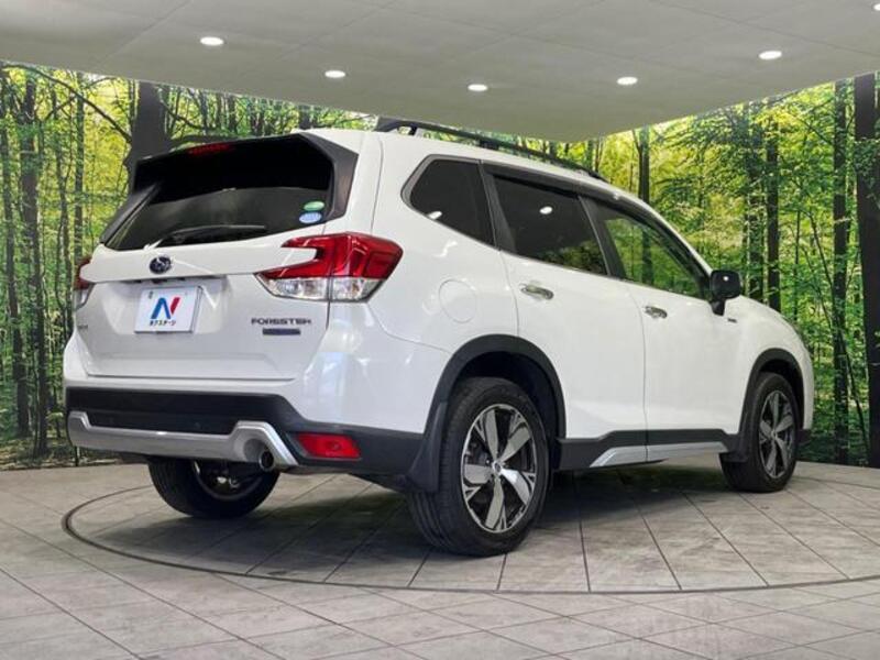 FORESTER