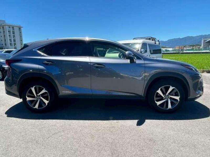 NX