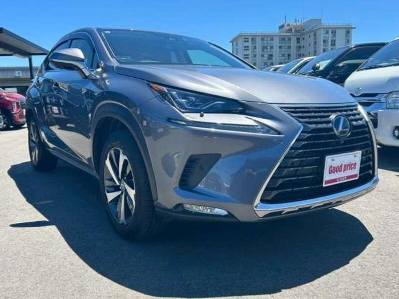 NX