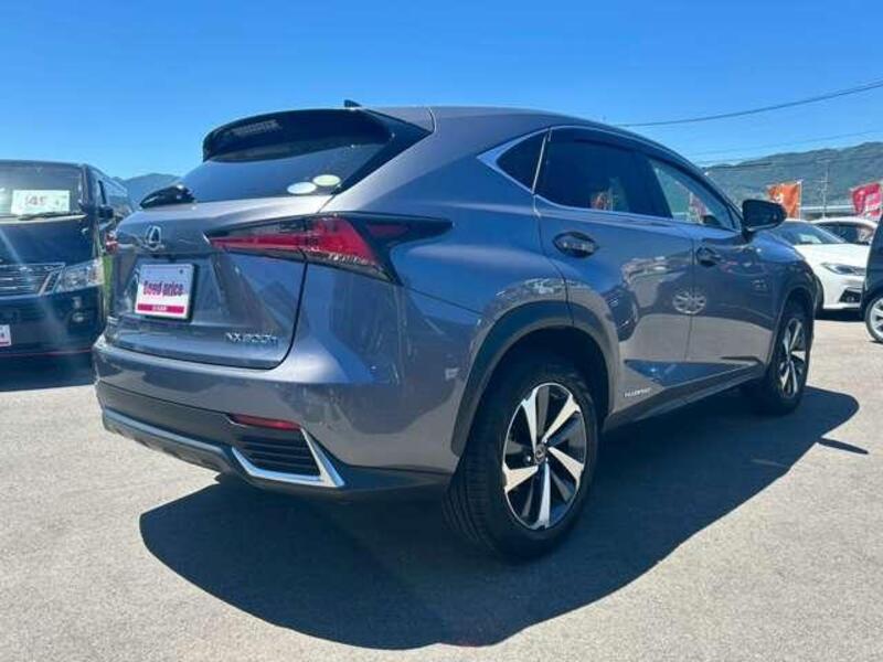 NX