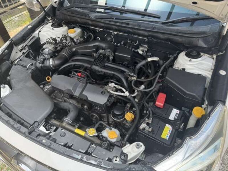 LEGACY B4