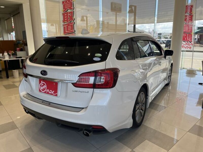 LEVORG