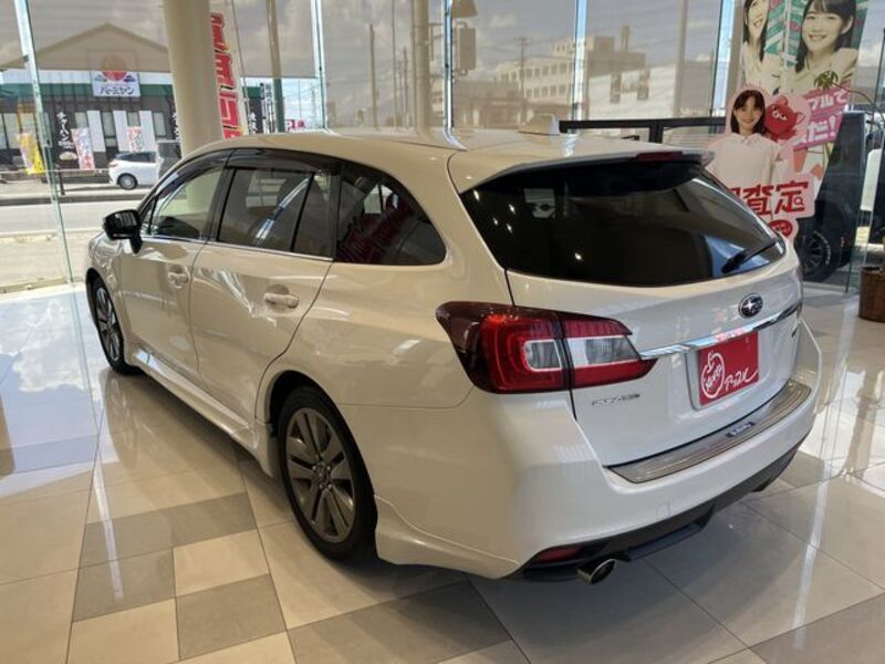 LEVORG