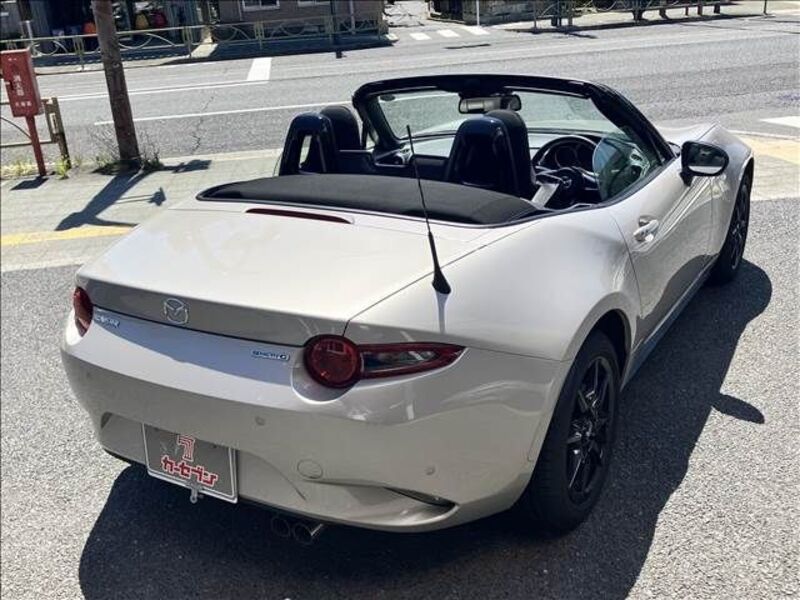 ROADSTER
