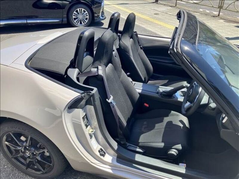 ROADSTER