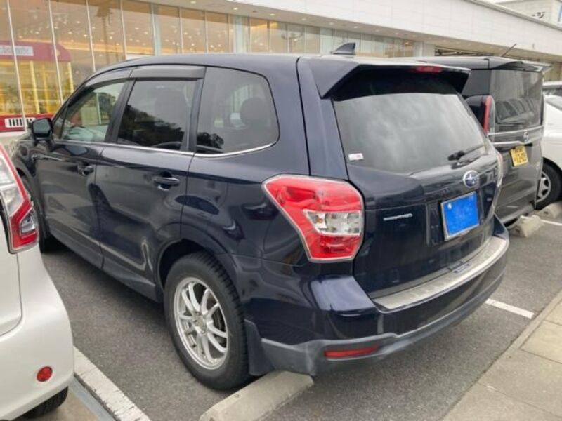 FORESTER
