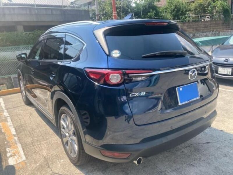 CX-8