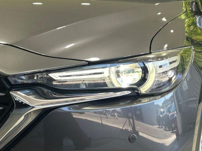 CX-8