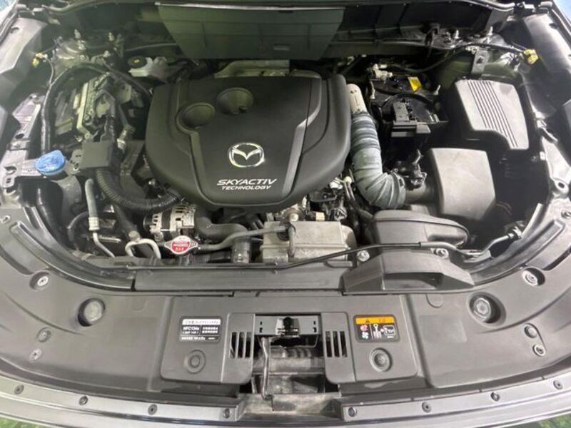 CX-8
