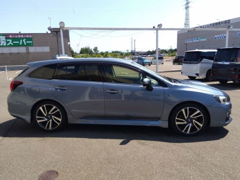 LEVORG