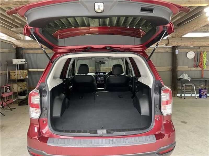 FORESTER