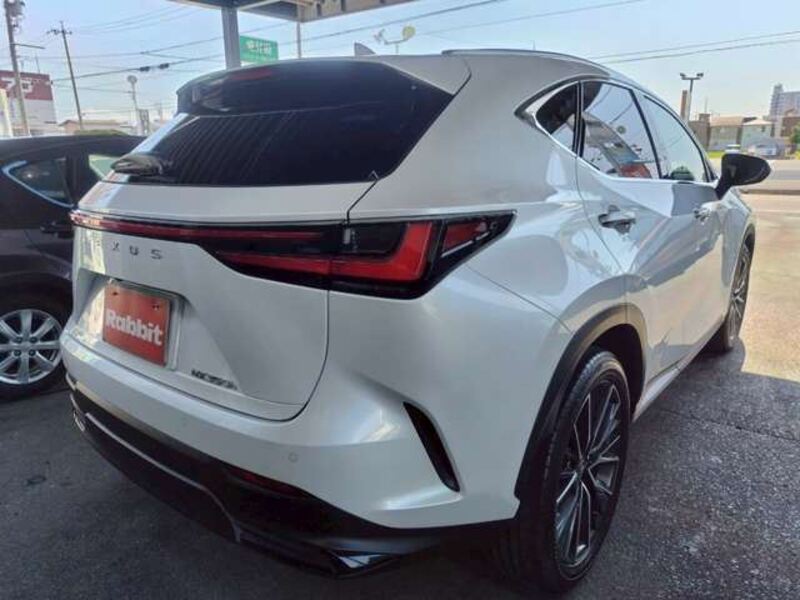 NX
