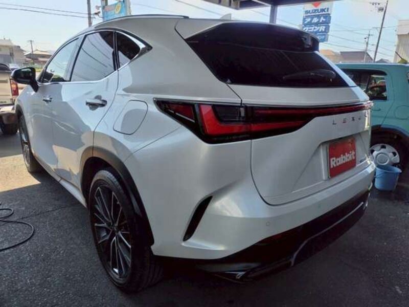 NX