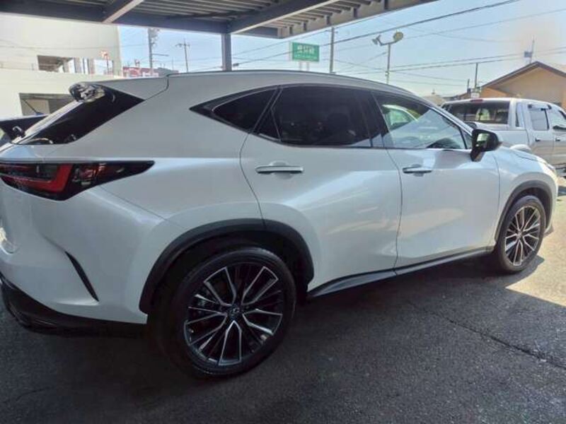 NX