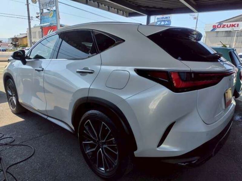 NX