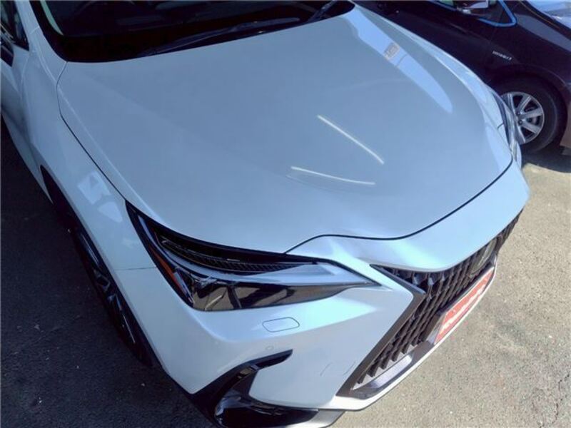 NX